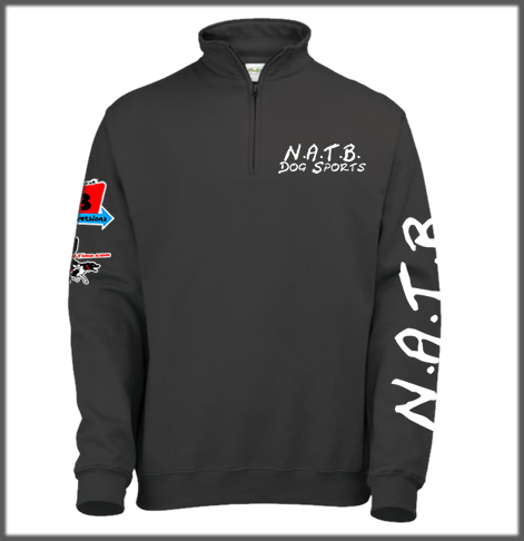 NATB 1/4 Zip Sweatshirt